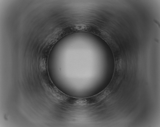 X0000103460606200809121605