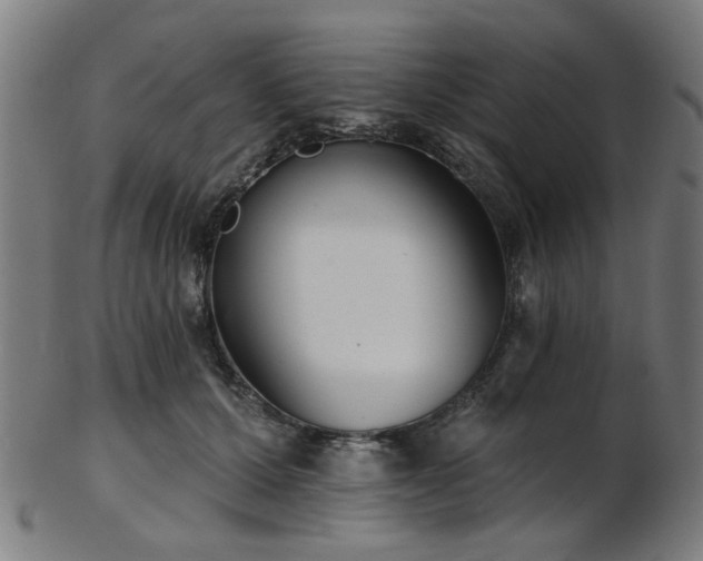 X0000103460607200809121605