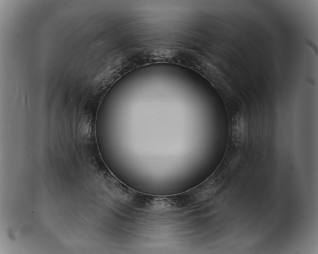 X0000103460608200809121605