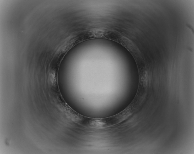 X0000103460610200809121605