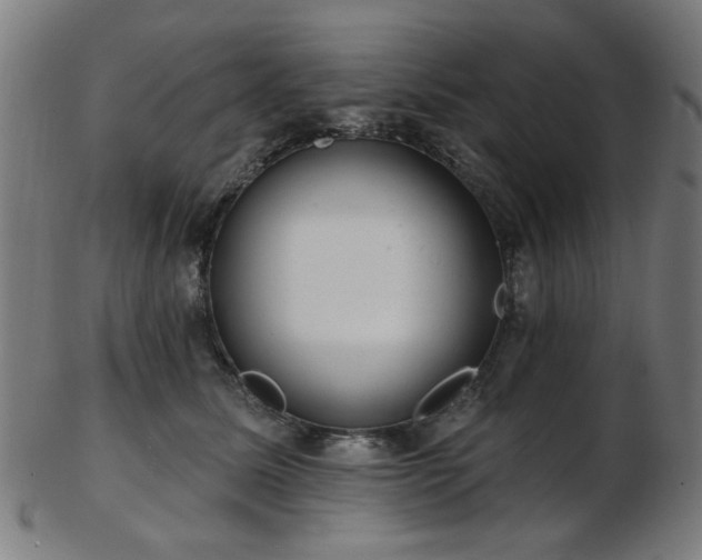 X0000103460611200809121605