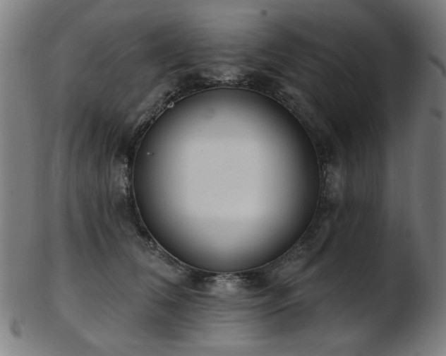 X0000103460612200809121605