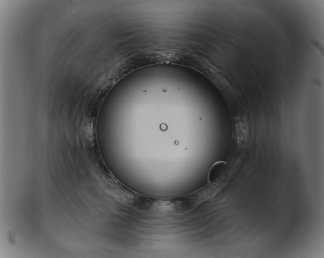 X0000103460613200809121605