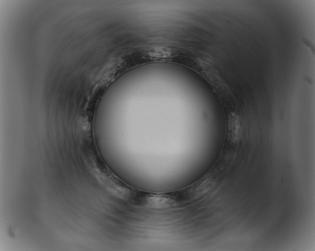 X0000103460614200809121605