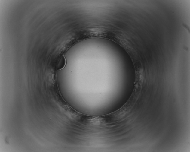 X0000103460615200809121605