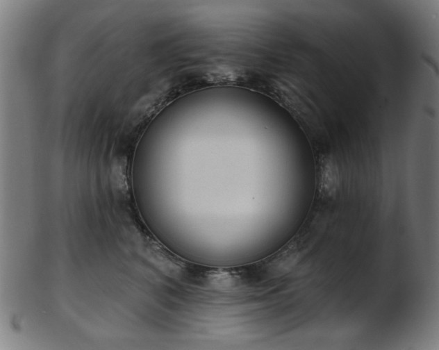 X0000103460616200809121605