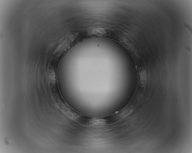 X0000103460617200809121605