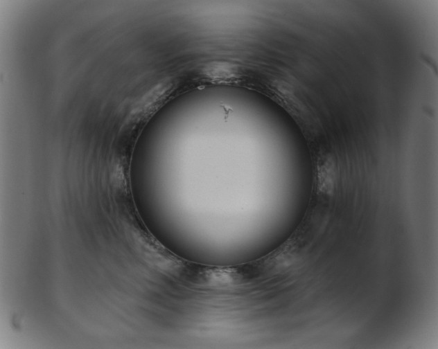 X0000103460618200809121605