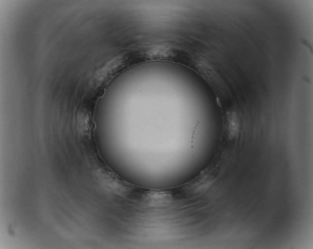 X0000103460619200809121605