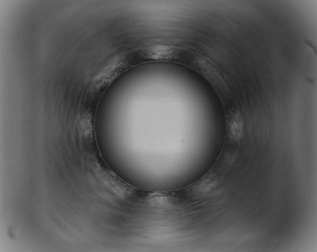 X0000103460620200809121605