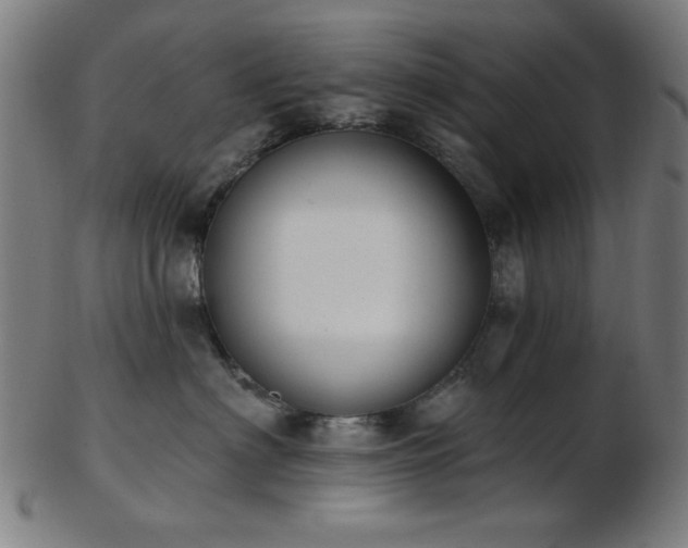X0000103460622200809121605