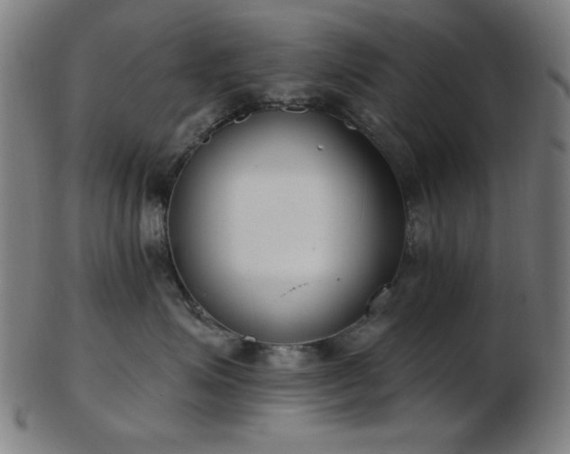 X0000103460623200809121605