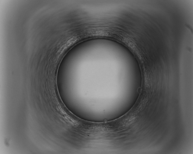 X0000103460625200809121604