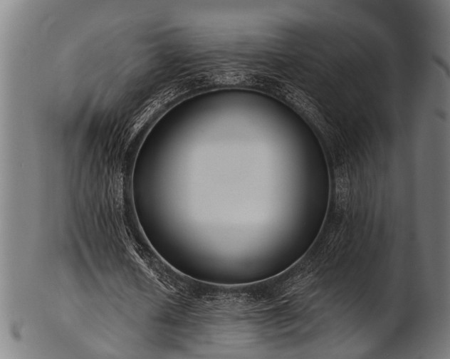 X0000103460626200809121604
