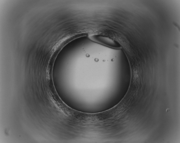 X0000103460628200809121604
