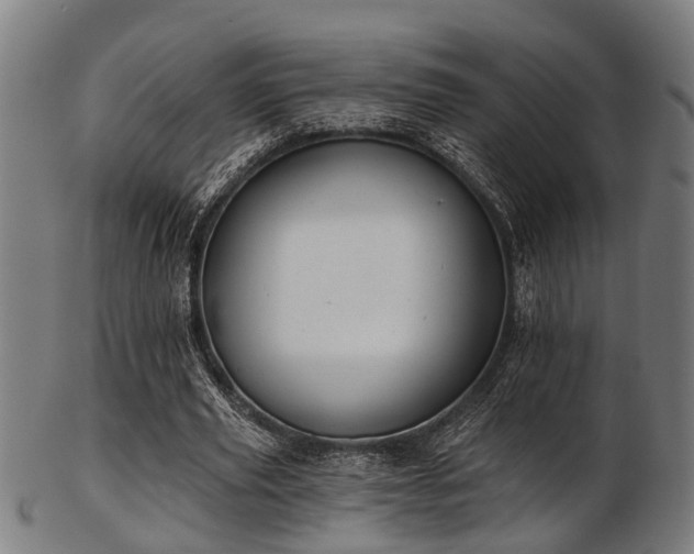 X0000103460629200809121604