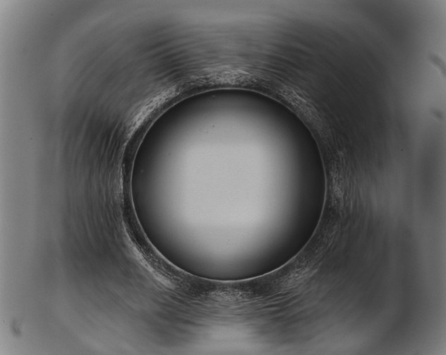 X0000103460630200809121604