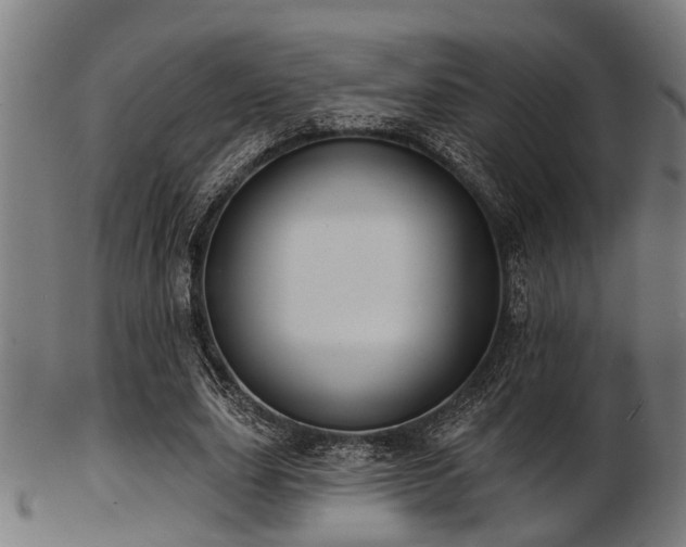 X0000103460631200809121604