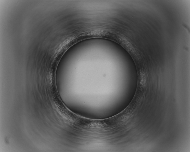 X0000103460636200809121604