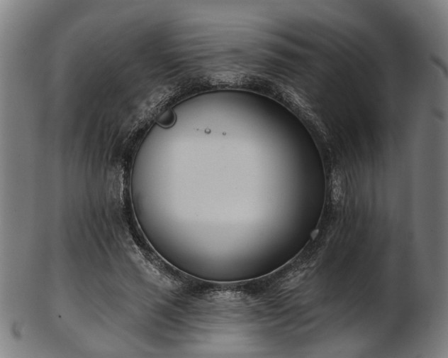 X0000103460637200809121604