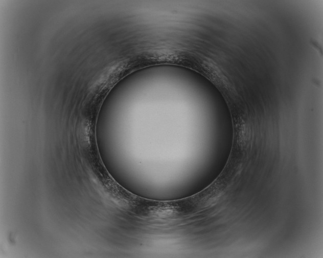 X0000103460643200809121604