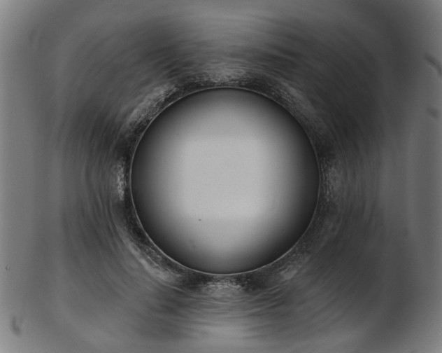 X0000103460644200809121604