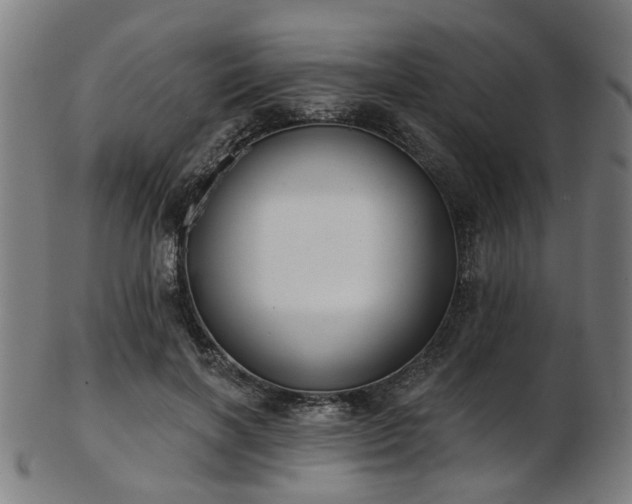 X0000103460646200809121604