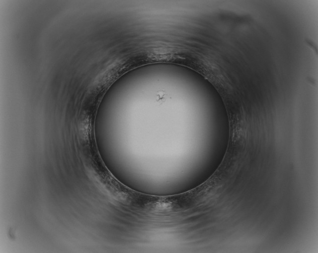 X0000103460647200809121604