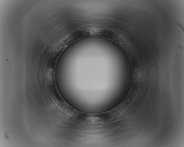 X0000103460650200809121604