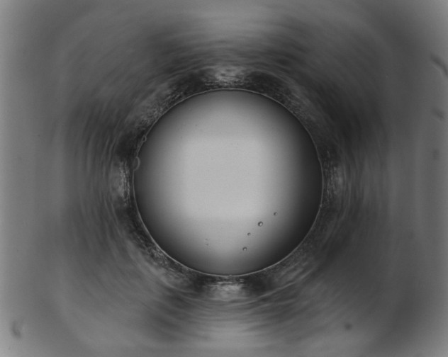 X0000103460651200809121604
