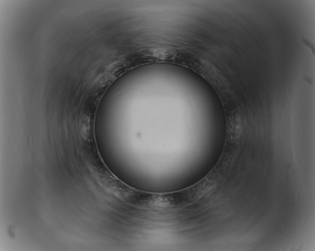 X0000103460656200809121604