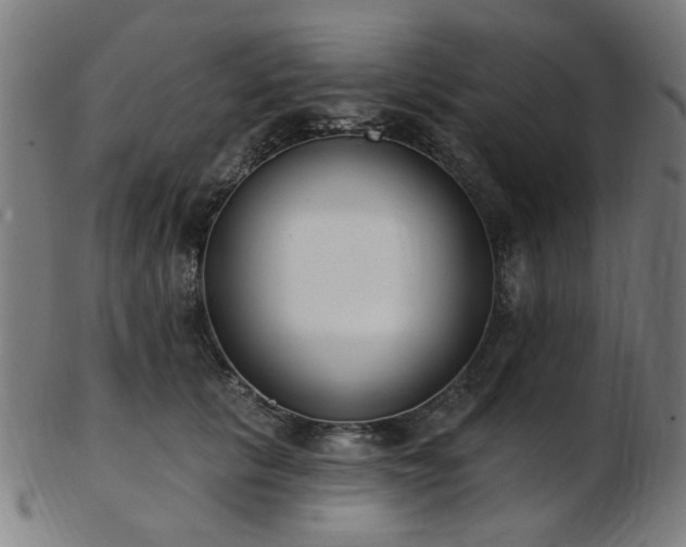 X0000103460657200809121604