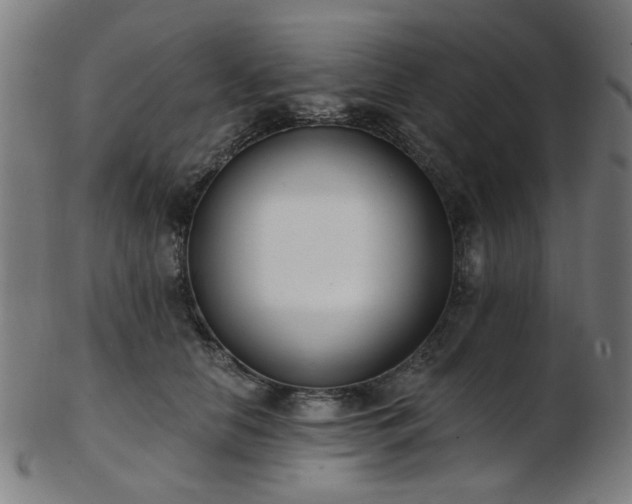 X0000103460658200809121605