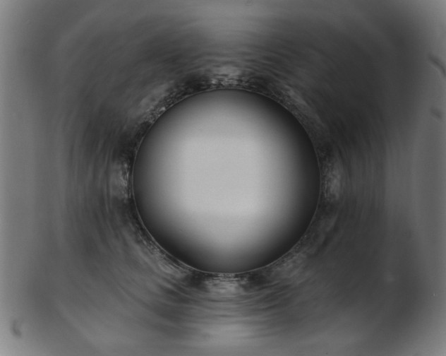 X0000103460661200809121605