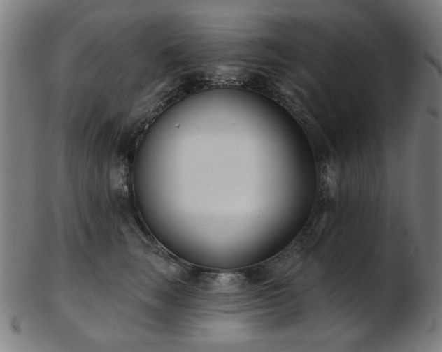 X0000103460663200809121605
