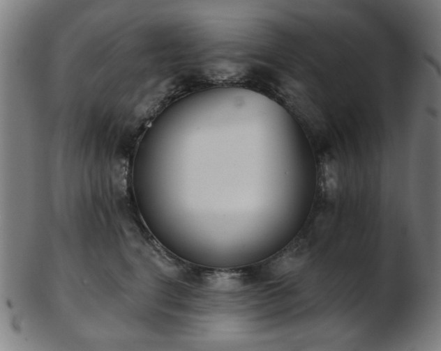 X0000103460664200809121605