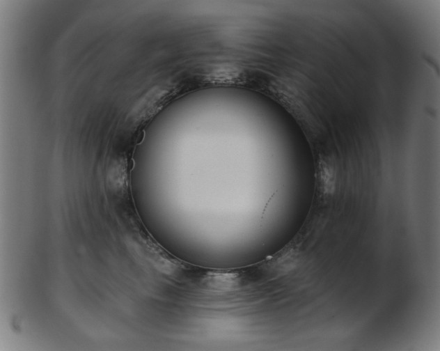 X0000103460665200809121605