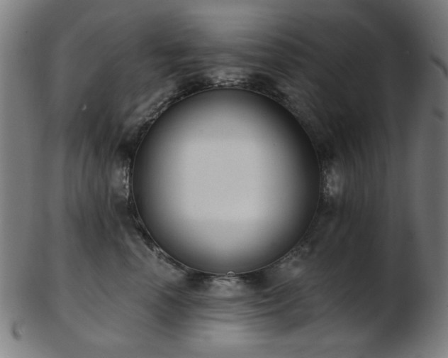 X0000103460666200809121605