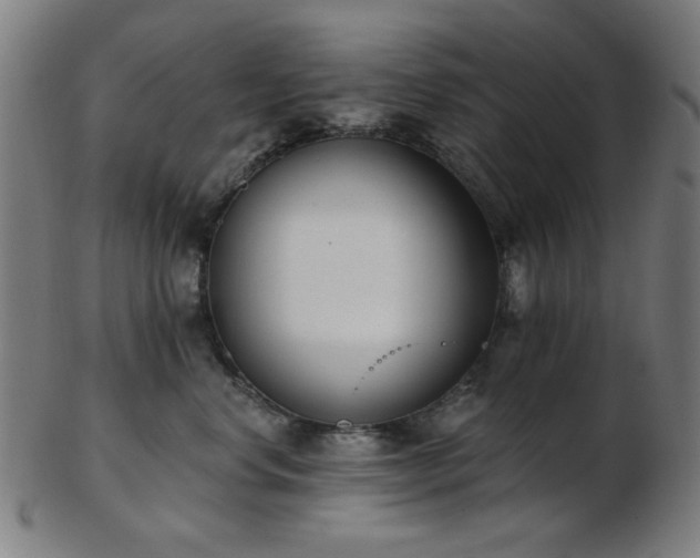 X0000103460668200809121605