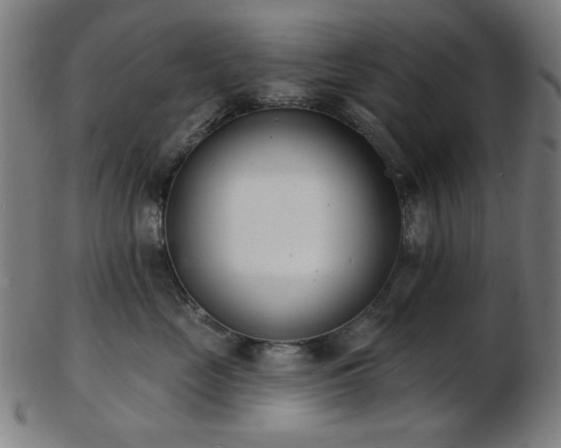 X0000103460669200809121605