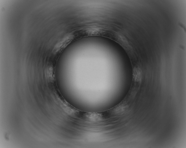 X0000103460670200809121605