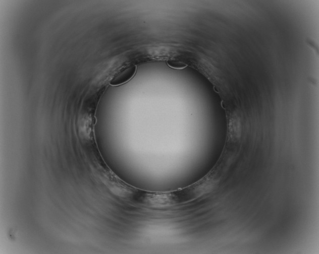 X0000103460671200809121605