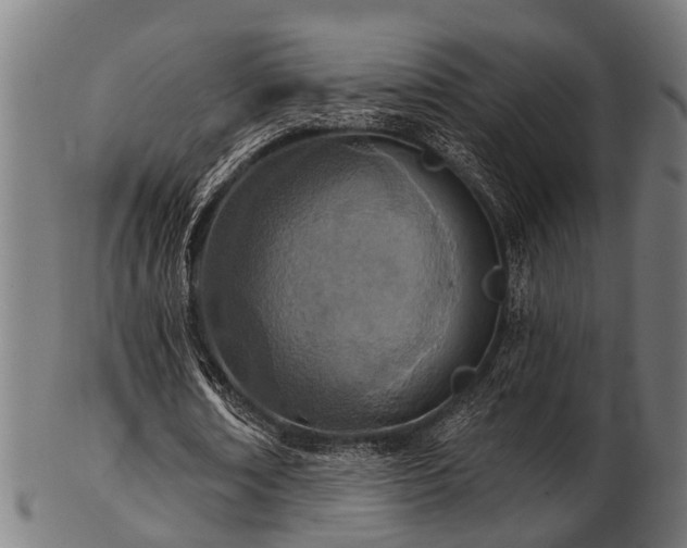 X0000103460674200809121604