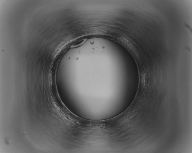 X0000103460676200809121604