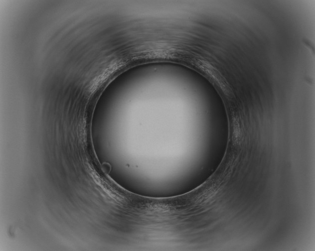 X0000103460677200809121604
