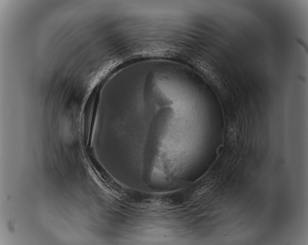 X0000103460678200809121604