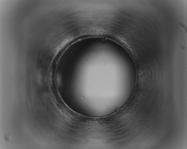 X0000103460679200809121604