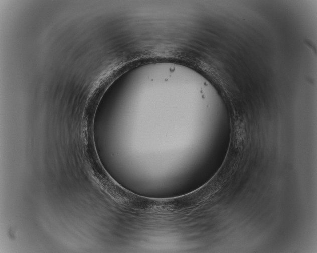 X0000103460680200809121604
