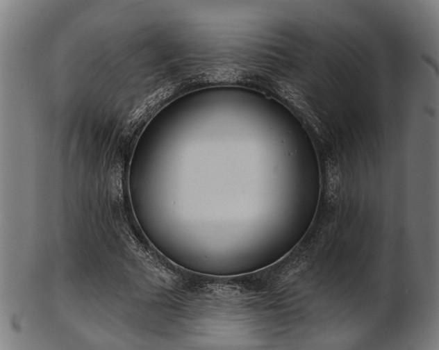X0000103460681200809121604