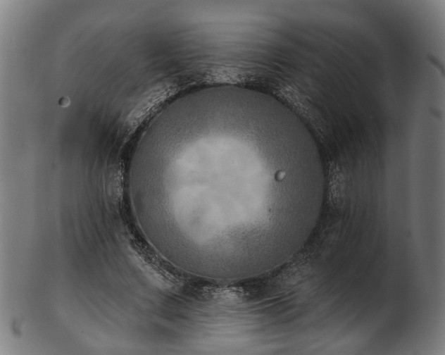 X0000103460683200809121604